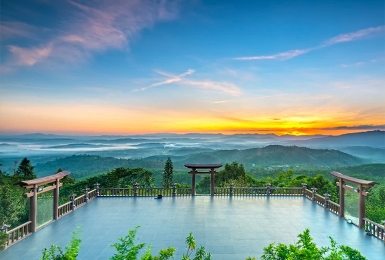 Tour An Giang Đà Lạt 3 ngày 3 đêm | SĂN MÂY CẦU ĐẤT – PUPPY FARM – LANGFARM CENTRE – MANGO LAND – ĐỒI CHÈ CẦU ĐẤT 