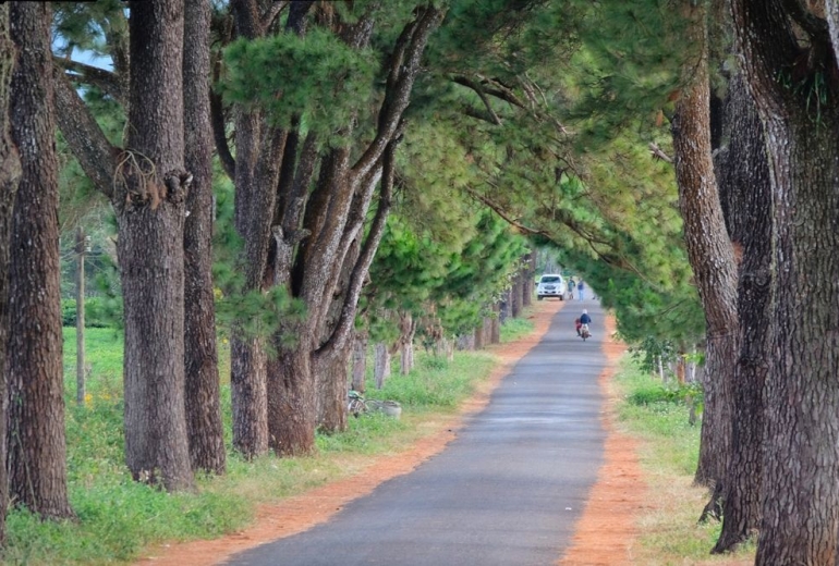 Tour tây Nguyên 4 ngày 4 đêm | Kon Tum - Gia Lai _ Buôn Mê Thuột