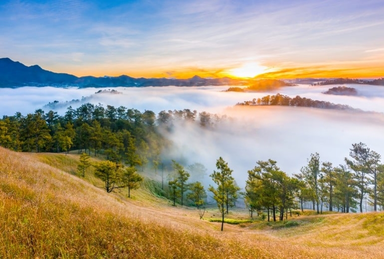 Tour Đà Lạt 3 ngày 2 đêm - Khu du lịch Pini - Nông Trại Langfarm Centre - Puppy Farm - Cafe Melinh - Quảng Trường Lâm Viên