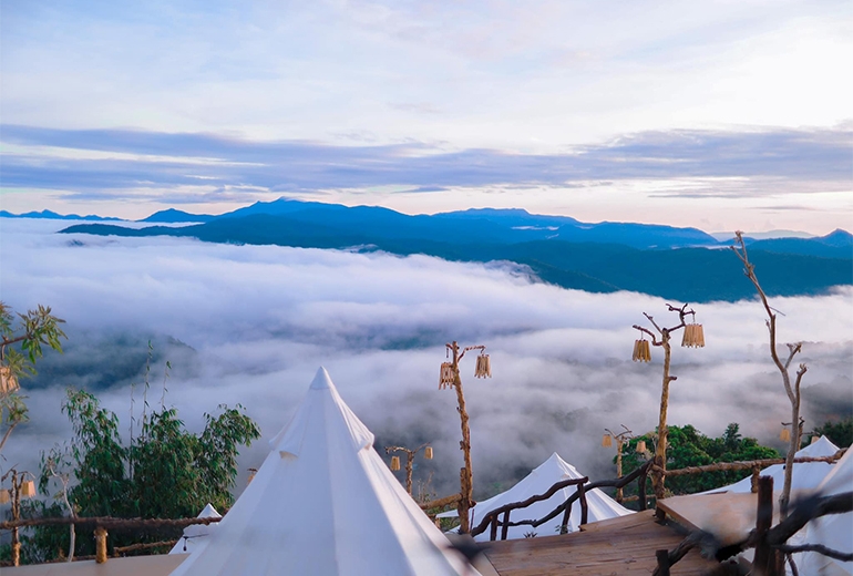 Tour  Bến Tre Đà Lạt 3 ngày 3 đêm | Tour Đà Lạt giá rẻ | Tour Tây Nguyên 