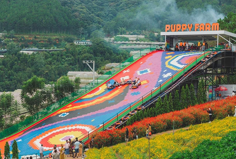 Tour Cà Mau Đà Lạt 3 ngày 3 đêm |  Săn Mây Cầu Đất - Nông trại cổ tích tại Langfarm Center - Puppy Farm - Mango Land