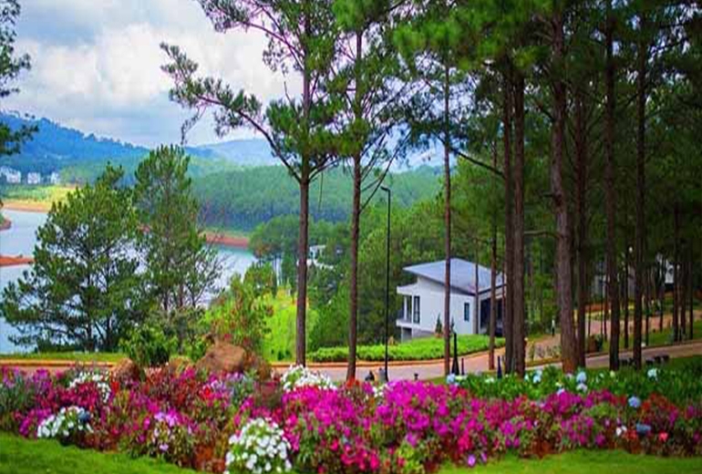 Tour Tiền Giang Đà Lạt 3 ngày 3 đêm |  Tour Tây Nguyên | Tour Đà Lạt Giá Rẻ