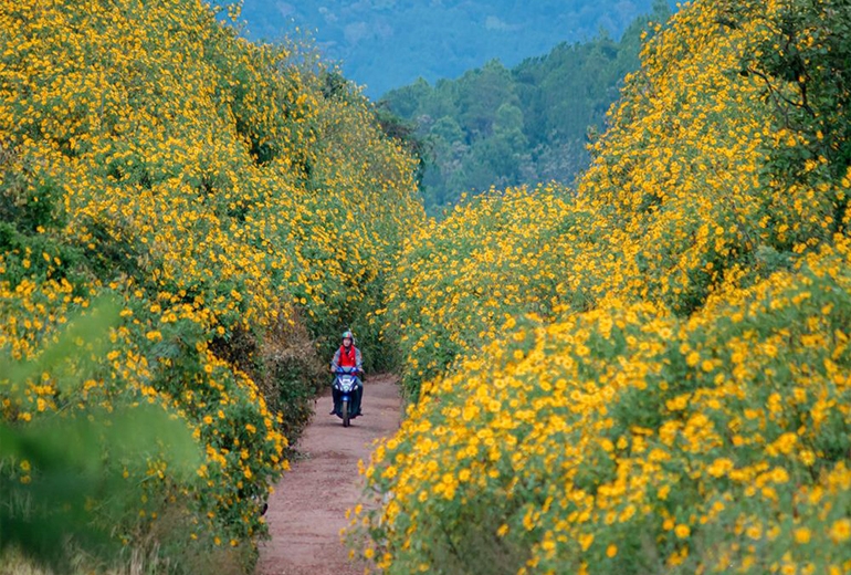 Tour Hậu Giang Đà Lạt 3 ngày 3 đêm - 